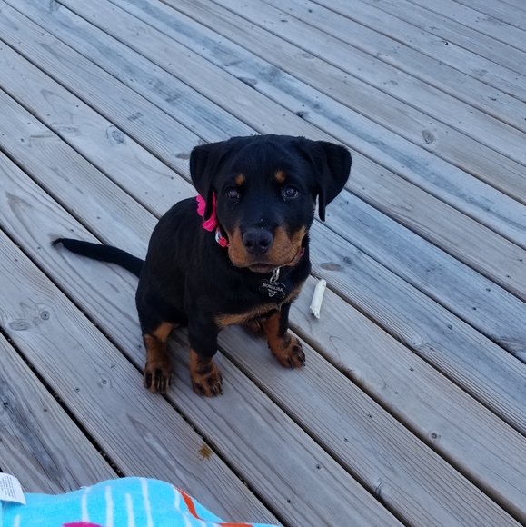 Meet your Posher, Tina - Picture 7 of 8